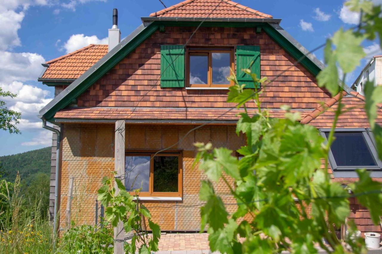 Le Gite Du Wildbach Wildersbach エクステリア 写真